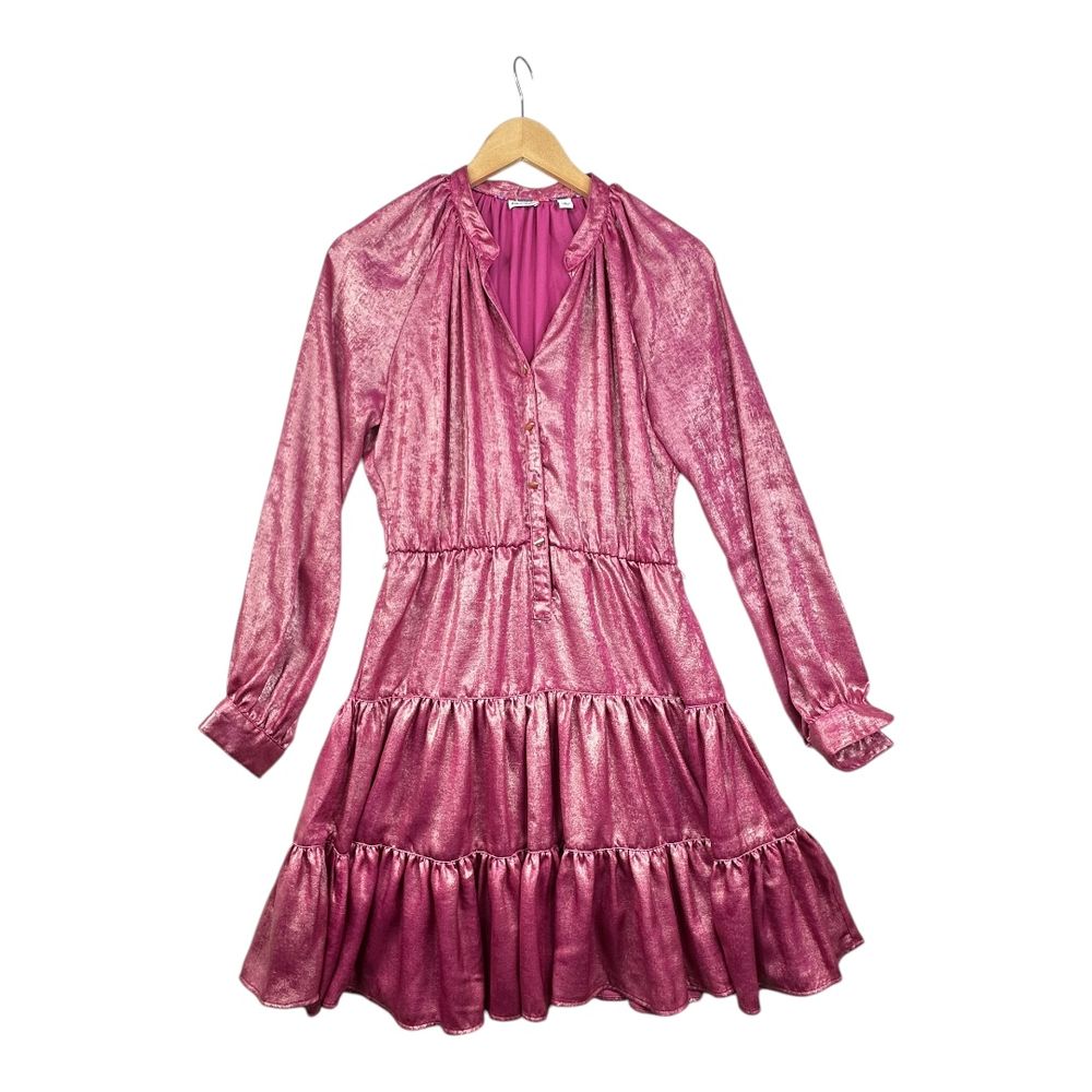 Robert Graham Sydney Metallic Tiered Mini Dress Size Small Pink